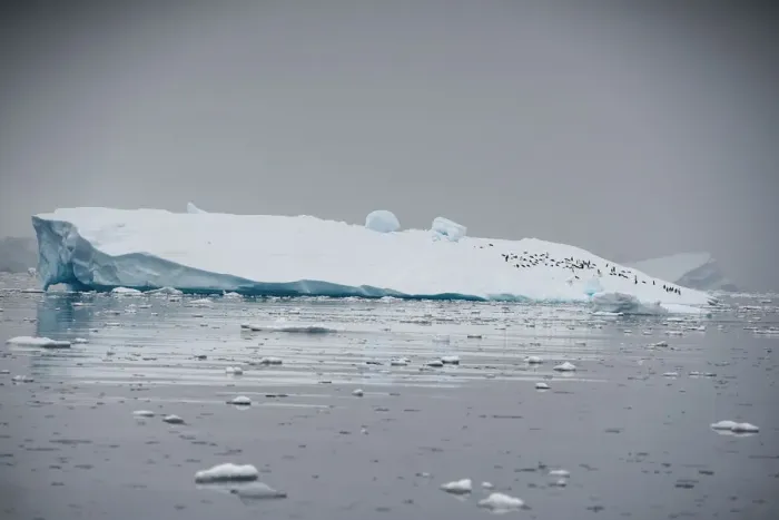 Framed Print : An iceberg floats in Andvord Bay, Antarctica