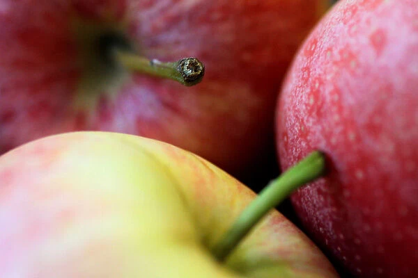 Illustration photo of apples