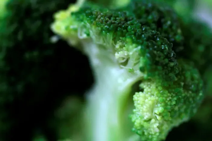 Framed Print : Illustration photo of broccoli Framed Print : Illustration photo of broccoli