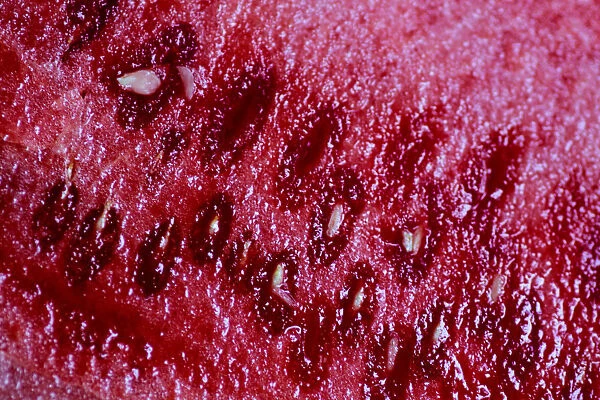 Illustration photo of a watermelon
