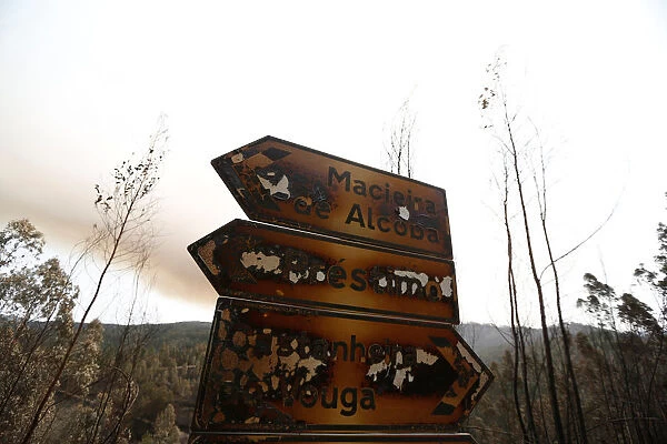 Information boards of villages are seen after a forest fire near Agueda