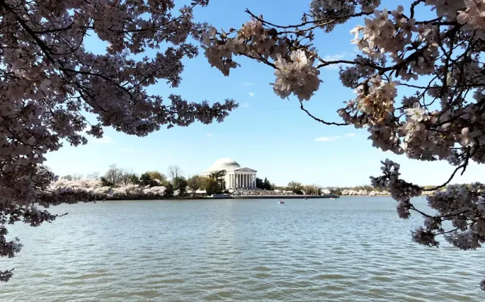 Framed Print : The Jefferson Memorial in Washington is pictured with the Tidal Basin