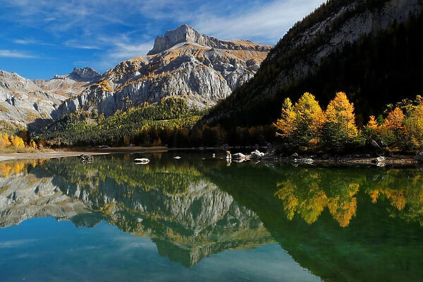 Larches are pictured in front of the Mont Gond on a warm autumn day near a lake in