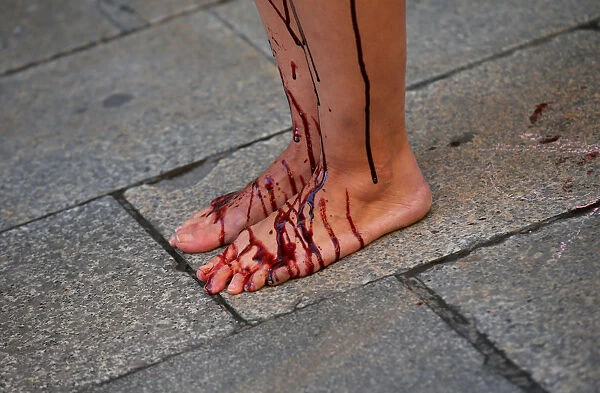 Legs of an Animal rights activist are covered with fake blood during a protest against