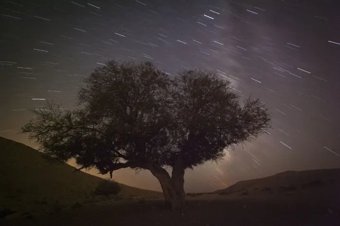 Framed Print : A long exposure shows stars behind a tree during the annual Perseid meteor shower near