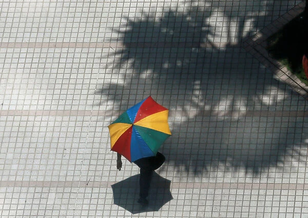 A man carries his umbrella as he walks past a tree in Colombo