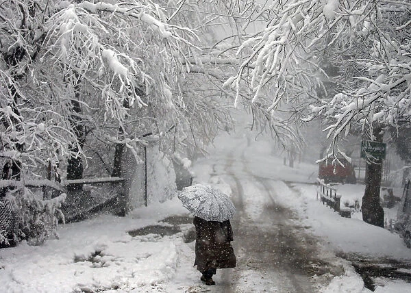 A man carrying an umbrella walks under snow-covered trees during snowfall in Tangmarg