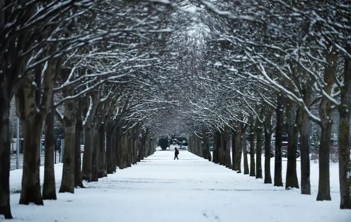 Framed Print : A man crosses an avenue of snow-covered trees in the Basque city of Vitoria Framed Print : A man crosses an avenue of snow-covered trees in the Basque city of Vitoria