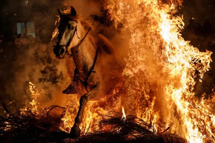 Framed Print : A man rides a horse through flames during the annual Luminarias celebration on the eve Framed Print : A man rides a horse through flames during the annual Luminarias celebration on the eve