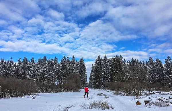 A man skis in Botrange, in the nature reserve of Les Fagnes