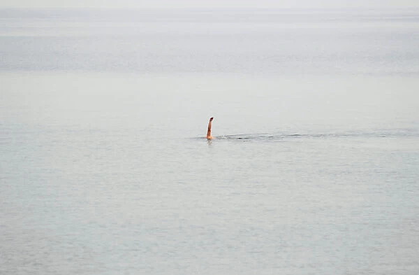 A man swims away from the shore at Orlowo beach in Gdynia