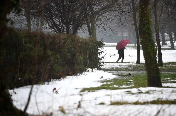A man with an umbrella walks through snow-covered Bushy Park near Dublin