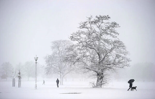 A man walks his dog across Clapham Common as heavy snow falls on London