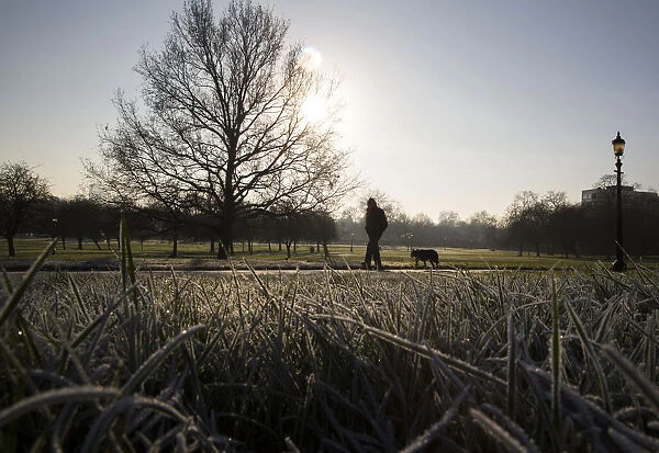 A man walks a dog on a frosty morning in Primrose Hill in north London