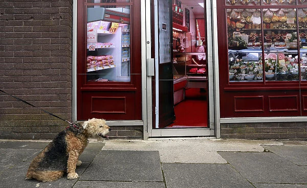 A man walks his dog past a vacant shop, with graphics pasted to the outside to make