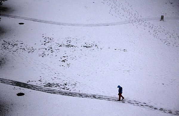 A man walks along a path as he looks at tracks left in snow after an overnight snowfall