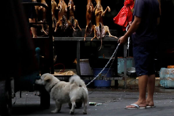 A man walks with his pet dog as he talks to a vendor during the local dog meat festival