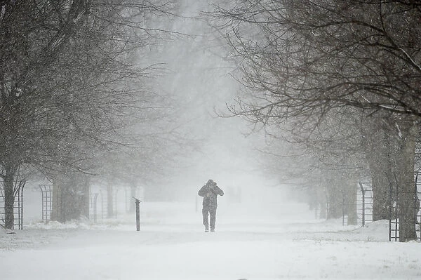 A man walks through the snow at the Phoenix Park in Dublin