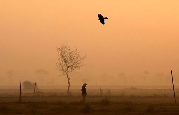 A man walks through a vegetable field on a foggy winter morning in New Delhi