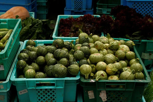 Marrows are seen in vegetable crates at the Farmers Market in Ta Qali