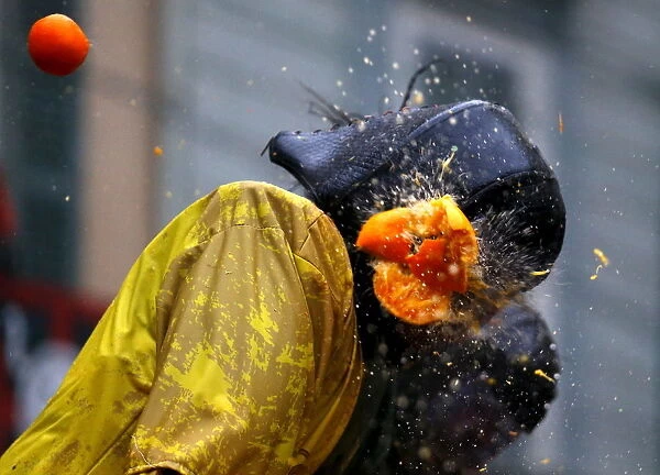 A member of a rival team is hit by an orange during an annual carnival battle in the