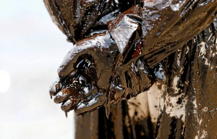 Framed Print : A member of the Sri Lankan coast guard is covered in oil as he works to remove an oil Framed Print : A member of the Sri Lankan coast guard is covered in oil as he works to remove an oil