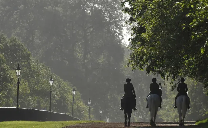 Framed Print : Members of the Household Cavalry are seen riding in the early morning in Hyde Park in Framed Print : Members of the Household Cavalry are seen riding in the early morning in Hyde Park in