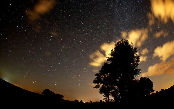 Meteors streak past stars in the night sky during the Perseid meteor shower in Premnitz