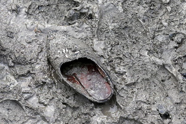 A migrants abandoned traditional shoe is seen in a muddy field at a camp of makeshift