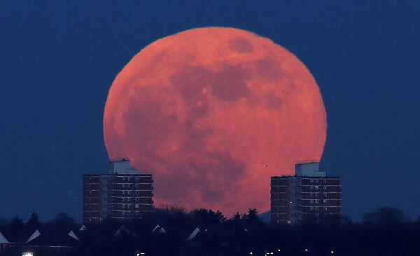 A full moon rises behind blocks of flats in north London