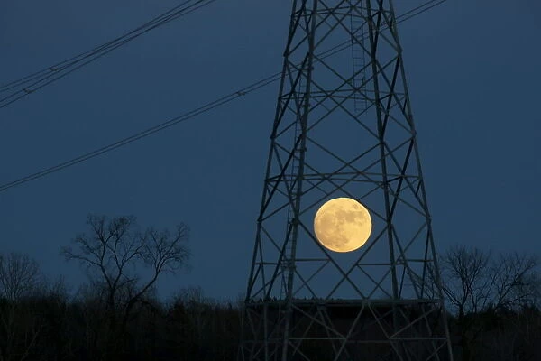 The full moon rises behind a hydro tower on Christmas eve in Ottawa