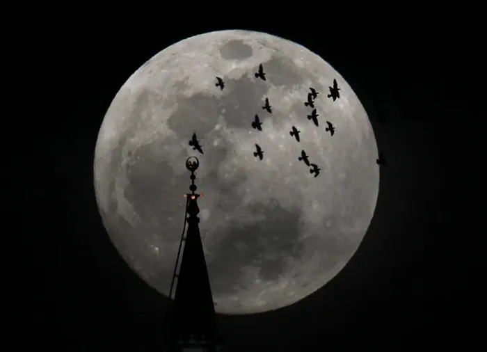 Framed Print : The full moon rises behind a mosque as birds fly in Amman Framed Print : The full moon rises behind a mosque as birds fly in Amman