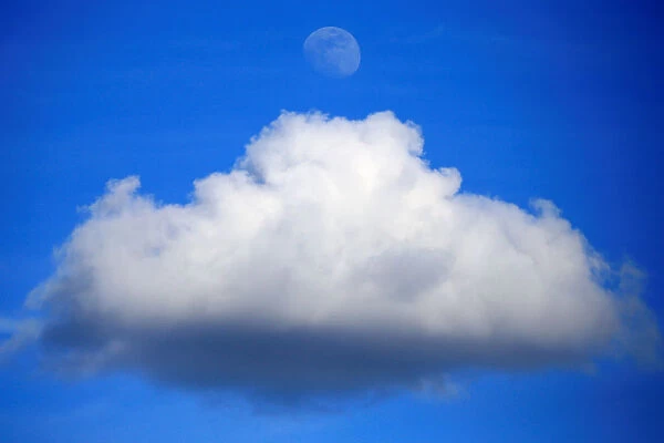 The moon is seen over a cumulus cloud in the skies over Avesnes-Lez-Aubert