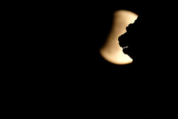 The moon is seen during a partial lunar eclipse over the Winged Lion of Venice at the St