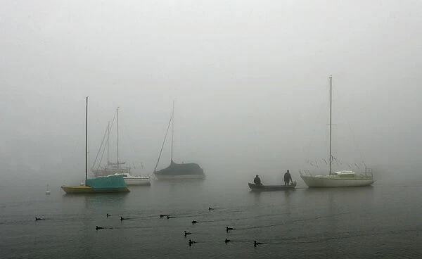 Moored boats are pictured on a foggy autumn morning at lake Ammersee in Herrsching
