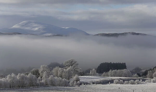 Morning mist sits in the valley of the Spey River near Kincraig Scotland