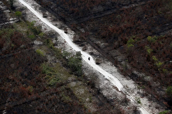 A motorist rides a motorbike on a road through an area burnt due to the forest fires near