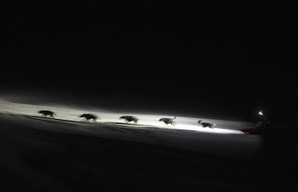 A musher and his dogs compete during the ninth stage of the La Grande Odyssee sled