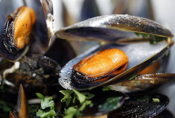 Mussels in white wine and tomato sauce are seen on plate at a restaurant in Warsaw