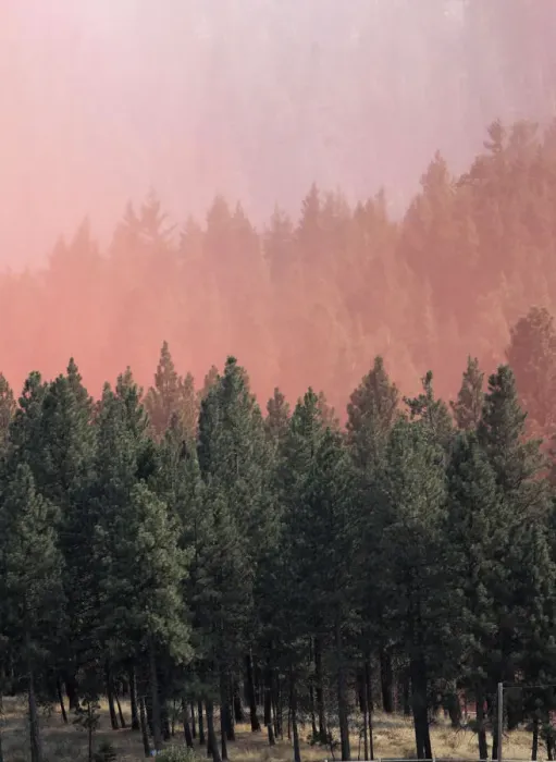 Framed Print : Orange fire retardant is dumped from firefighting tanker plane onto trees near homes