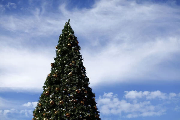 An outdoor artificial Christmas tree is displayed at a shopping center in San Diego