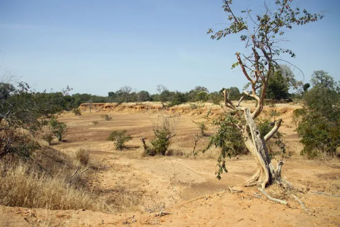Framed Print : Parched land is pictured around the Lake Wegnia, in Sahel region of Koulikoro