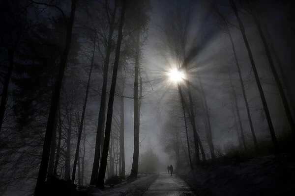 Pedestrians walk through a forest during a foggy morning in Bern