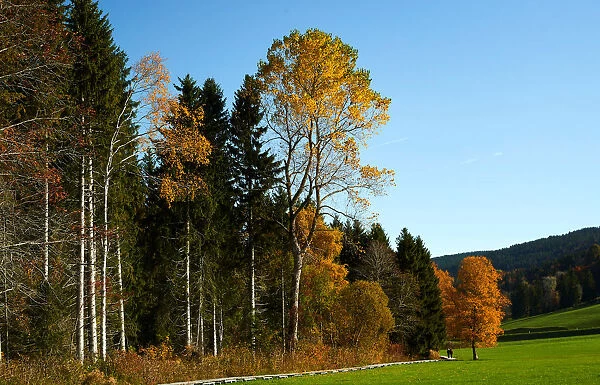 People enjoy a sunny autumn day in the Valley de Joux near Le Chenit
