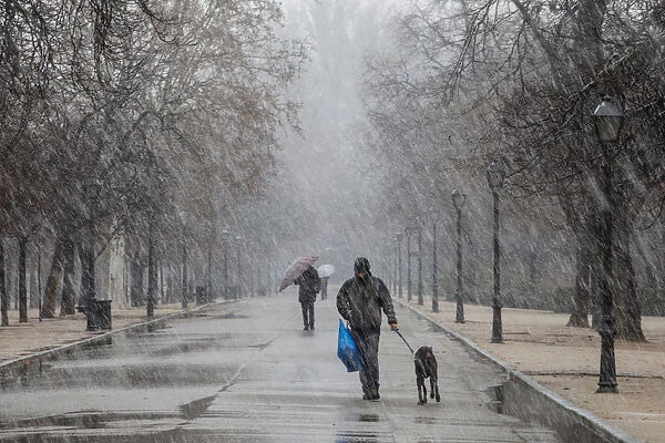 People walk during a heavy snowfall in Retiro park in Madrid