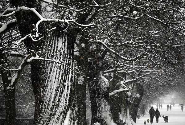 People walk through the snow covered Greenwich Park in London