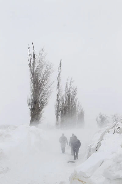People walk on a snow-covered road near Glodeanu Silistea village