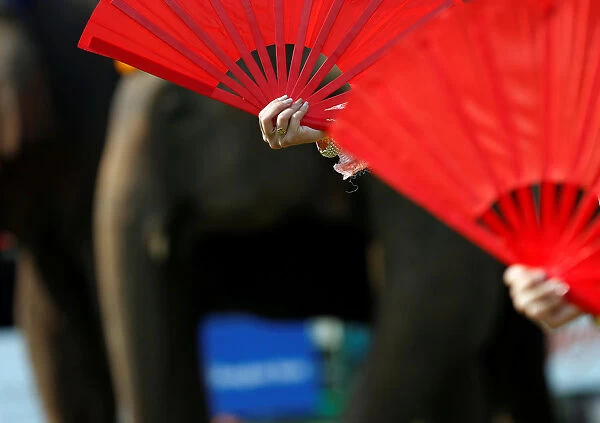 Performers are seen before a match at the annual Kings Cup Elephant Polo Tournament at a