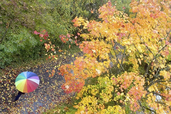 A person walks in a park on a rainy autumn day in the southern German city of Lindau