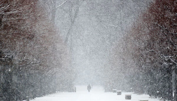 A person walks during snowfall in the grounds of the Charlottenburg Palace in Berlin